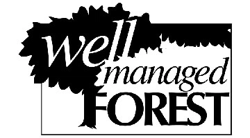 商業印刷機推薦｜印刷用紙種類多元，商用印刷機完美呈現印刷紙材效果