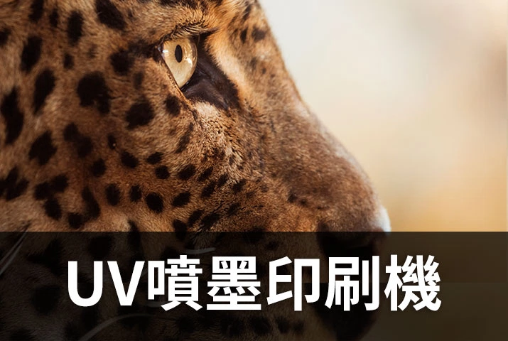 UV噴墨印刷機推薦｜縮短生產週期、LED UV墨水光固化技術提升效率